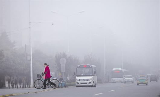 大雾弥漫的街头