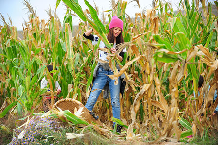 虐身又虐心!谢霆锋牺牲颜值抗百斤麻袋|谢霆锋