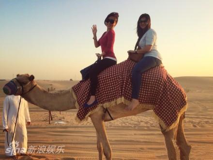 Karey天天边走边学 遇国际友人展华人风采|Ka