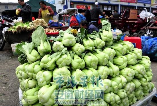 合肥7种蔬菜价格下跌
