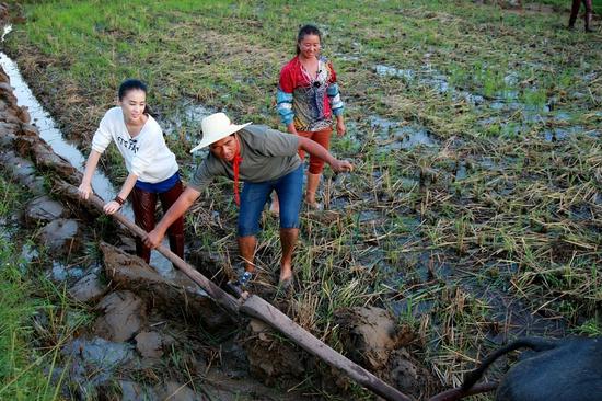 高冷儿媳惹争议 黄圣依：我只有傻傻努力