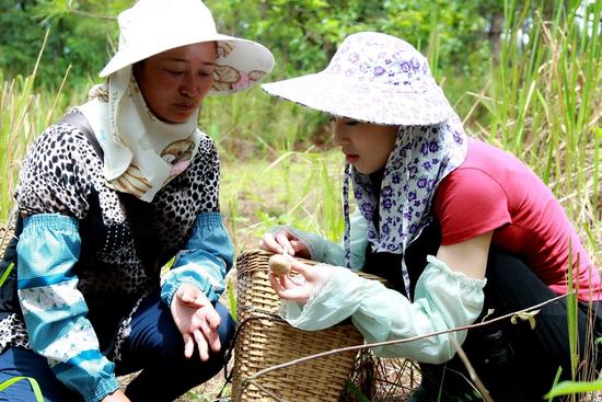 黄圣依帮婆婆分担农活