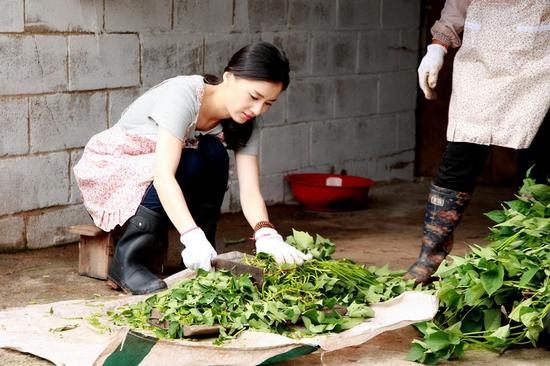 高冷儿媳惹争议 黄圣依：我只有傻傻努力