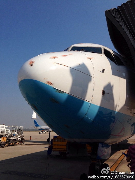 网曝厦航一架飞机撞鸟 机身血迹斑斑