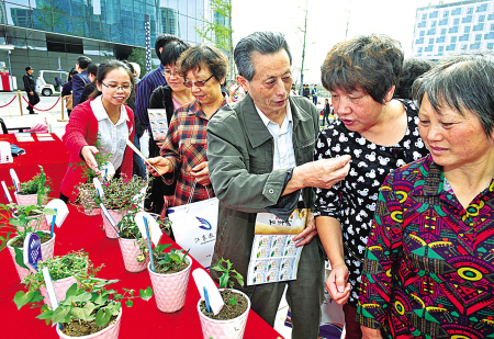 安居社区“百草园”中药爱好者王宁君(右三)正在江东区社区教育现场成果展上向市民介绍金钱草的疗效。