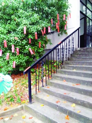 大学生为求女友原谅挂900张我爱你条幅(图)