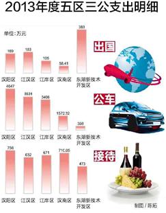 图为:2013年度五区三公支出明细