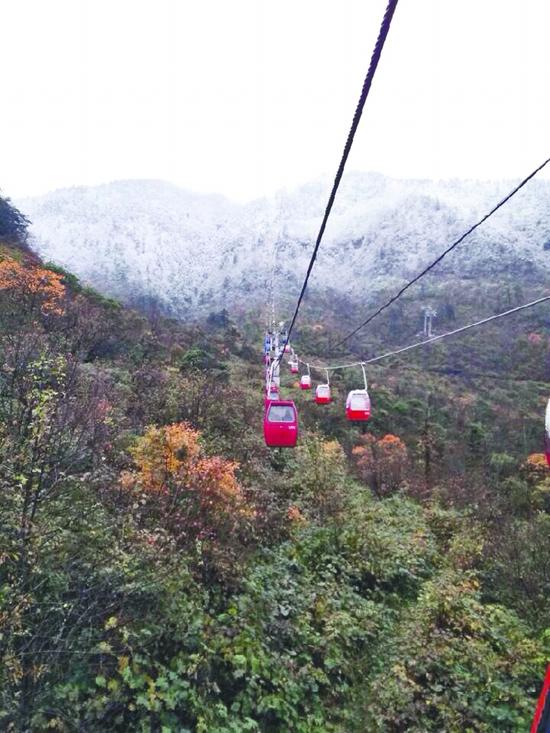 西岭雪山缤纷的红叶与雪景对比鲜明 网友朱凌瑶change供图