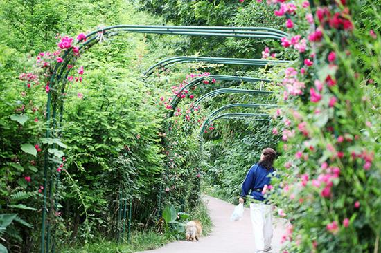 川讯:成都最挣钱十大高薪行业出炉