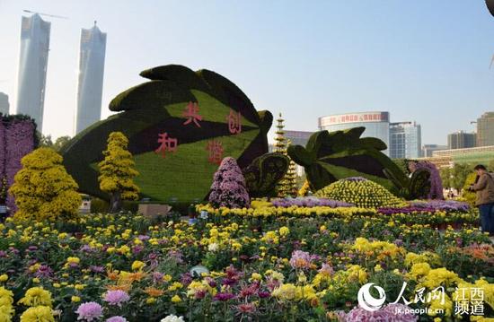 组图：百万盆菊花将扮靓南昌 展览将持续一个月