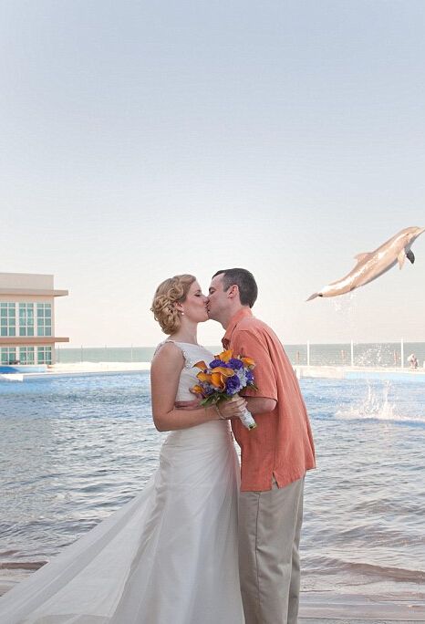 在他们拍摄最重要的亲吻照片时,被突然冒出来的海豚抢了风头。