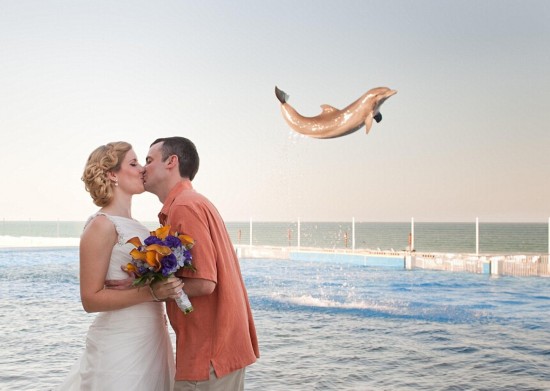 夫妇拍摄结婚照亲吻时遭海豚抢镜(图)