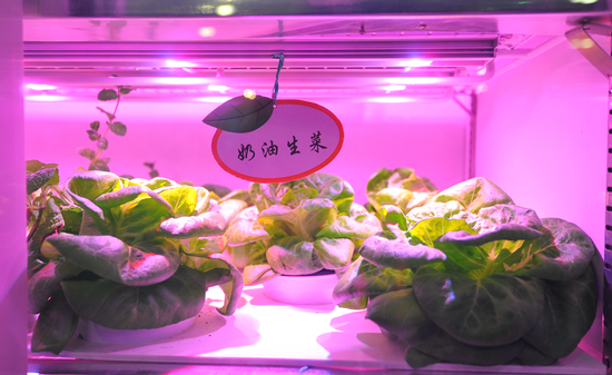 光電化的無土種植箱