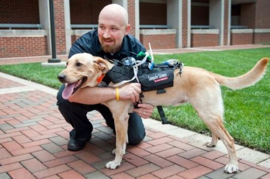 �����ˣ��ſ��ң��ҽ���Լ�˸��ڰ���