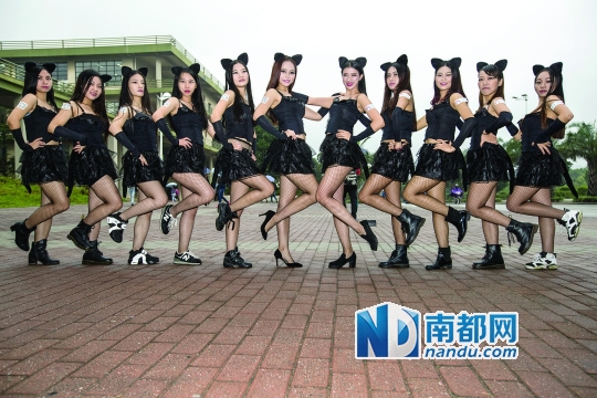 11月7日，十一名猫女郎在广州大学城快闪，派发米奥礼品袋。南都记者 林宏贤 摄