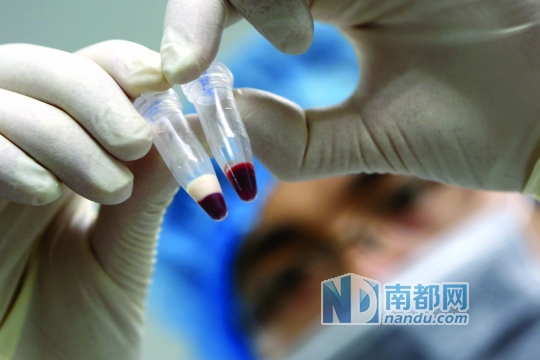 两婴儿患罕见病血液乳白色 治愈需120万欧元