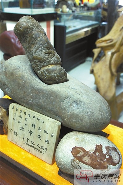 喊价1亿元的奇石:生命之源。