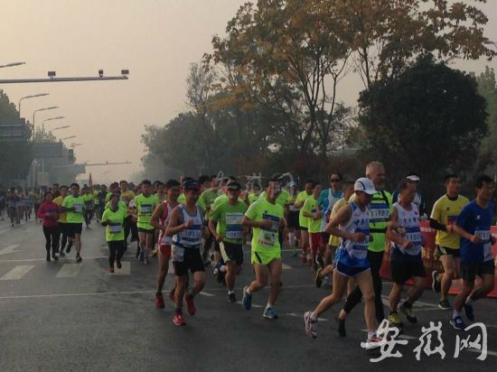 合肥国际马拉松赛开跑 男女全程项目角逐最为