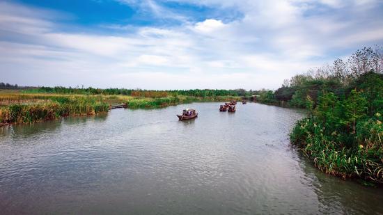 溱潼水国胜江南 古镇周边慢慢游