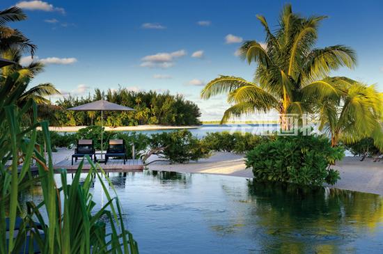 马龙白兰度之岛