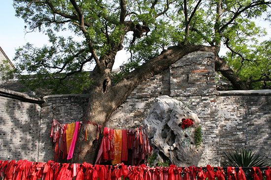 溱潼古镇:青砖巷里的闲适时光