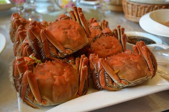 溱湖八鲜 舌尖上的至鲜美味