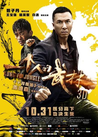 甄子丹、王宝强主演的电影《一个人的武林》