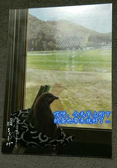 囧哥说事141120