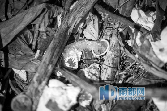 女子命丧偏僻蕉林内 事发地现大量血迹和安全套