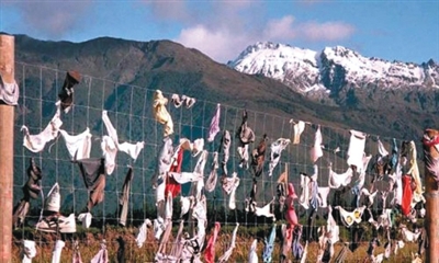 新西兰胸罩栅栏成旅游景点 数百胸罩集中被挂