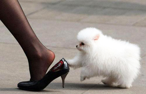 冬季三大部位易皲裂 脚后跟最“伤不起”