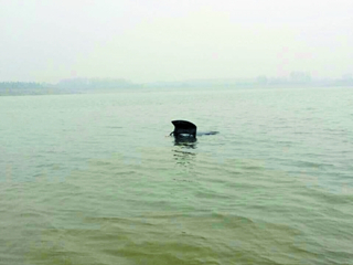 车在龙湖湖心被人发现。