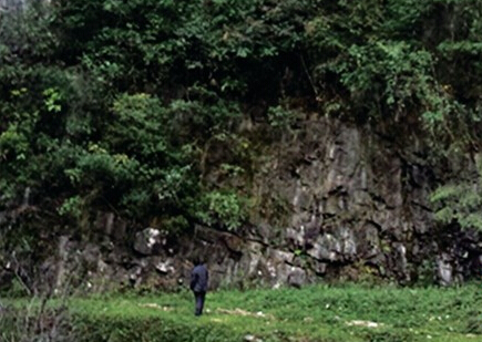 务川茅天镇人口_务川涪洋人口普查(2)