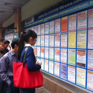 农村青年人口现状_农村人口老龄化现状