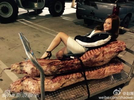 赵薇低胸装晒美照 横卧“猪肉”性感撩人(图)