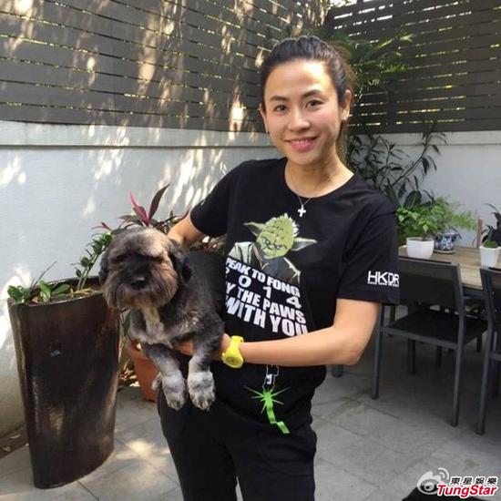 林忆莲支持爱护宠物 宣萱何超仪呼吁参与
