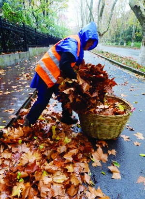 南京环卫工雨中指抠手抱扫落叶感动市民