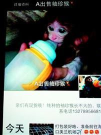 受害人小王出示的卖家微信朋友圈。