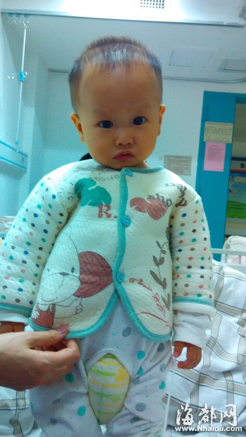 龙岩1岁男婴患急性白血病 姑姑代他发出求助(
