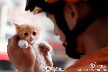 还记得那个救猫的帅消防么,今天,他和700余名战友要退伍了