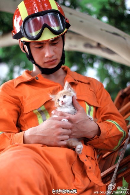 还记得那个救猫的帅消防么,今天,他和700余名战友要退伍了