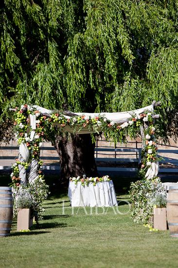 打造如画婚礼地 户外婚礼现场布置指南|户外婚