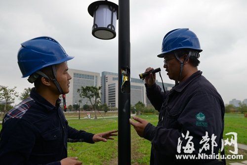 花海公园内,路灯杆电线裸露,电力技工(右)和海都记者一同排除隐患