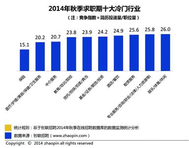 收入证明_咨询业 收入