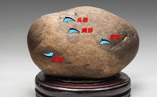 《睡美人》 纹理图案标示图