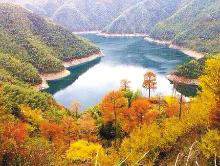 图为周公宅林区一景。(吴兵甫 摄)