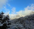 秦嶺南麓寧陜迎來今冬第一場雪