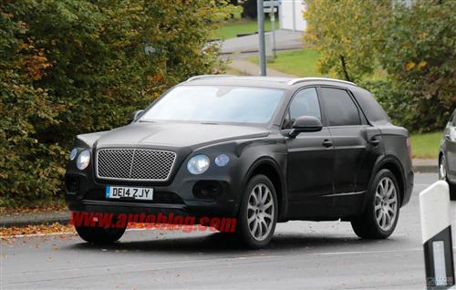 宾利SUV或选定正式名称 注册商标泄天机_嘉兴