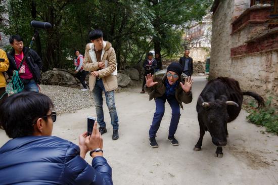 《两天一夜》张睿作诗赞hold住姐反遭群殴