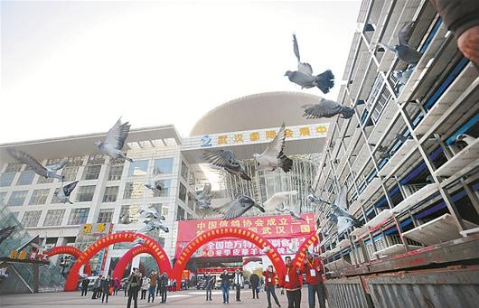 ͼΪ����չ�㳡�ŷ��Ÿ�